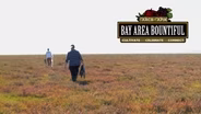 Bay Area Bountiful: Life Underground – Bay Area Soil Health