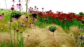 Video thumbnail: PBS NewsHour How garden designer Piet Oudolf captures nature's 'emotion'