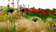 How garden designer Piet Oudolf captures nature's 'emotion'