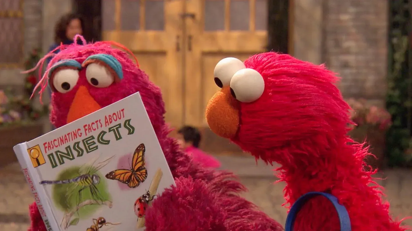 Elmo's Butterfly Friend