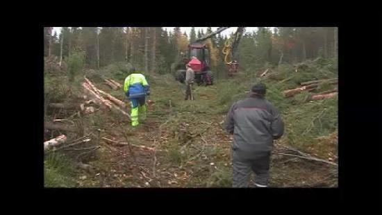 Trip to Finland