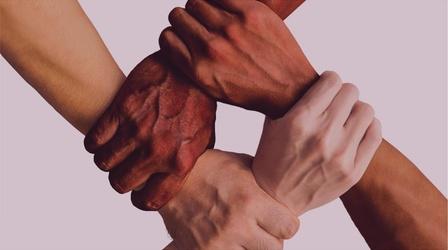 Video thumbnail: Utah Insight How Diversity Shapes State Dynamics