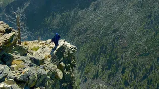 A Wingsuit Flyer Soars Down the Rockies