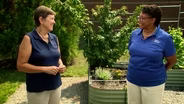Harvest for Health