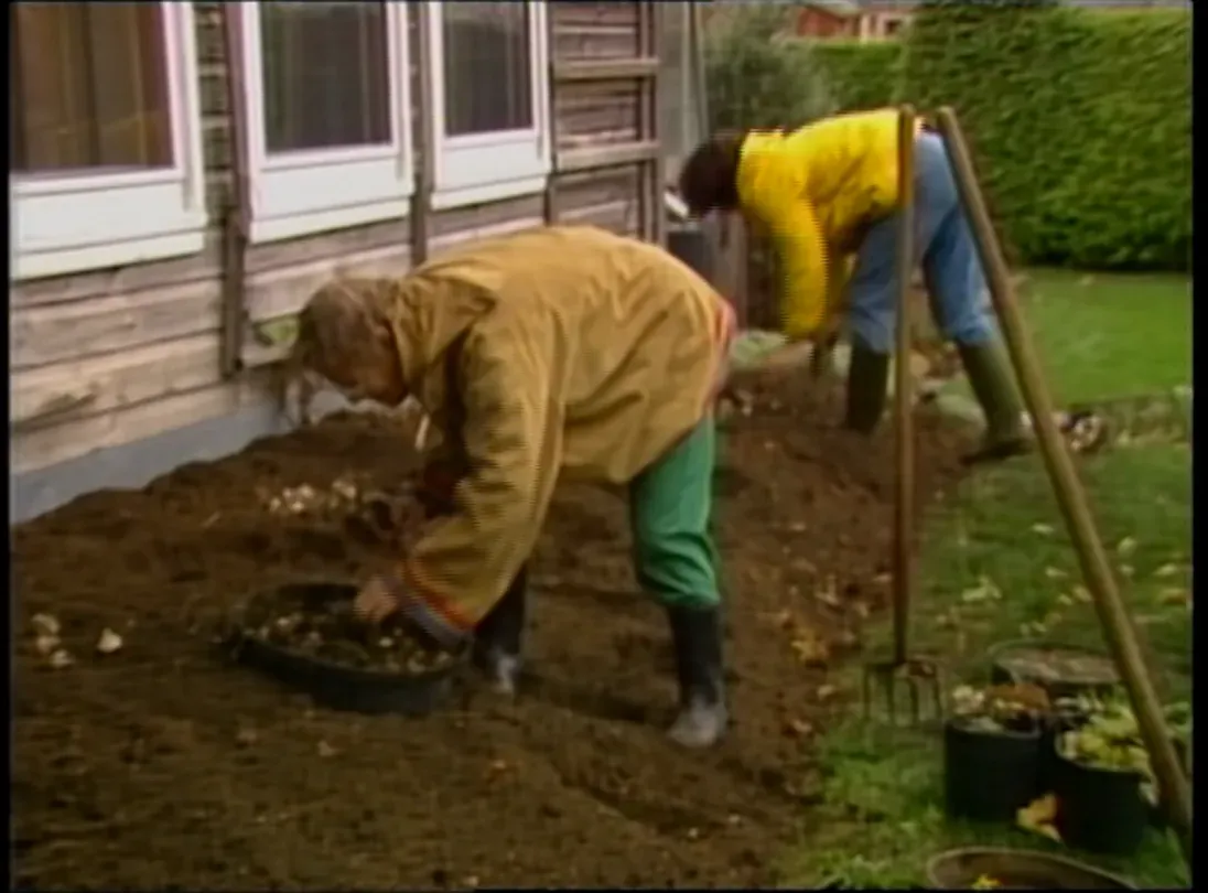 Planting, Pruning, and Preventing