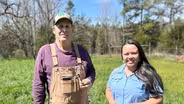 Cattle Forages and Local Bats