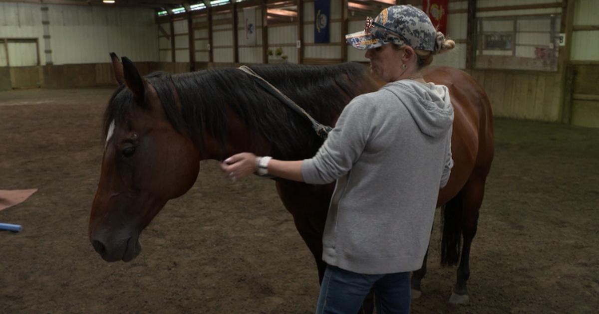 PBS39 News Reports | REINS OF LIFE | Season 2019 | PBS