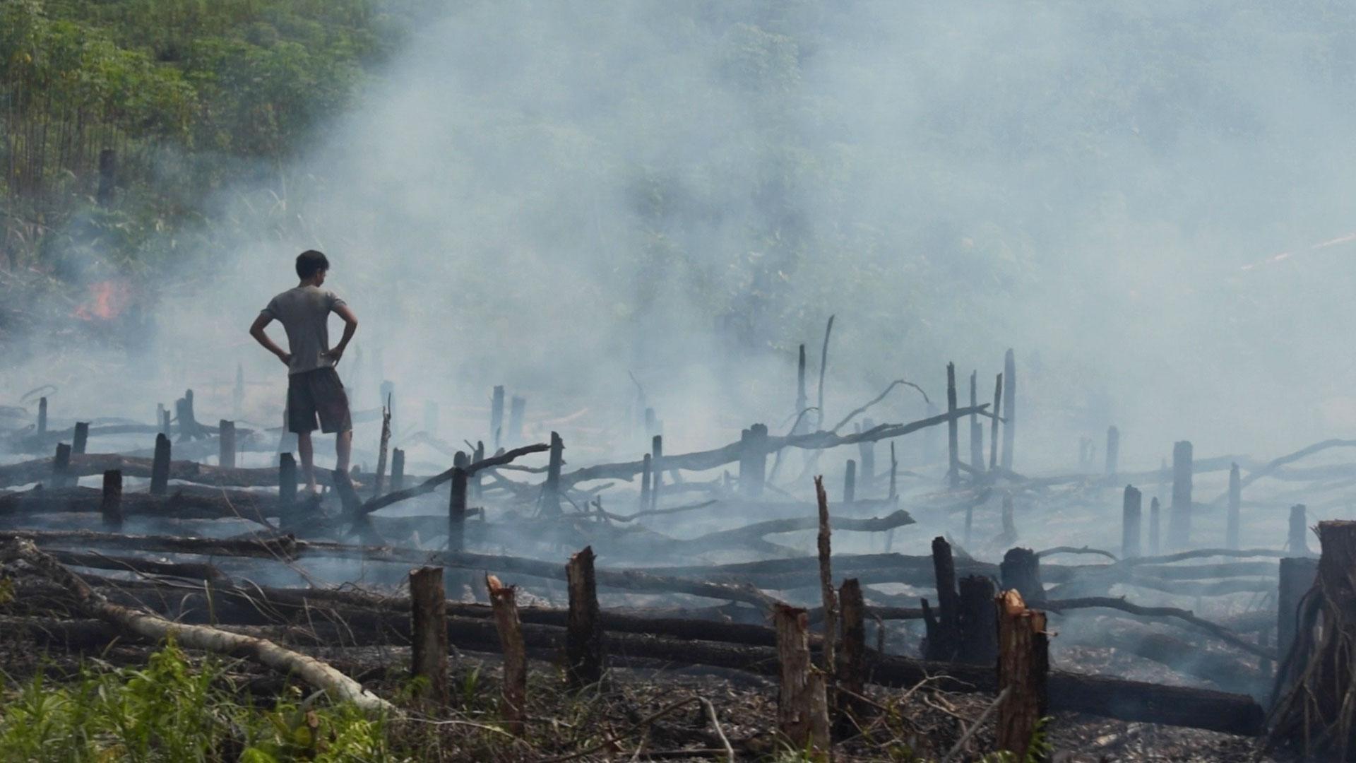 Borneo's Vanishing Tribes
