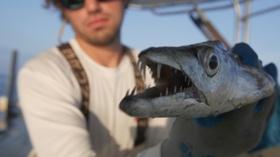 Video thumbnail: SCI NC Eat a fish you've never heard of