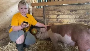 4-H Response to COVID-19