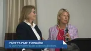 Illinois GOP Leaders Say They're Working Hard to Flip Seats