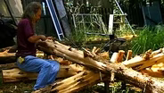 Wild Cedar