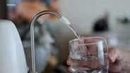 Fluoride Bill Reignited