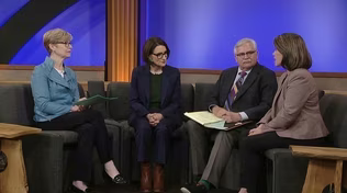 2026 DFL Primary U.S. Senate Debate