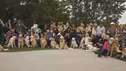 Bentley's Bash for the Blondes