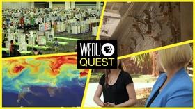 Video thumbnail: WEDU Quest Episode 306