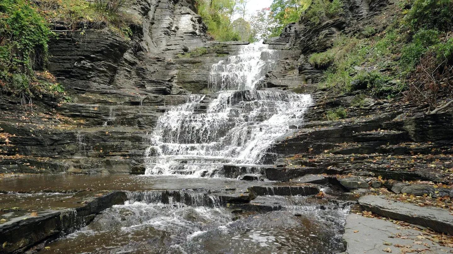 Cascadilla Falls, by A. R. Ammons