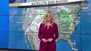 Meteorologists at Your Service