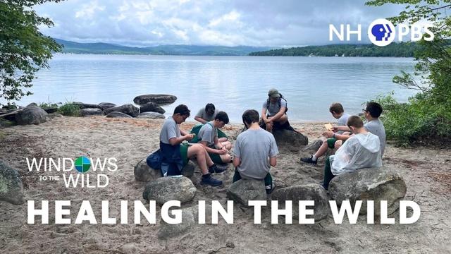 Windows to the Wild | Healing in the Wild