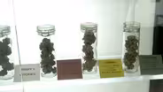 30 more companies will sell medical marijuana in NJ