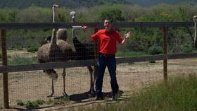 Video thumbnail: Valleys Gold Valley's Gold: Exotic Farm Animals
