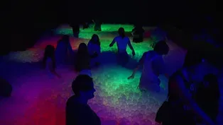 Immersive exhibitions change the way people consume art