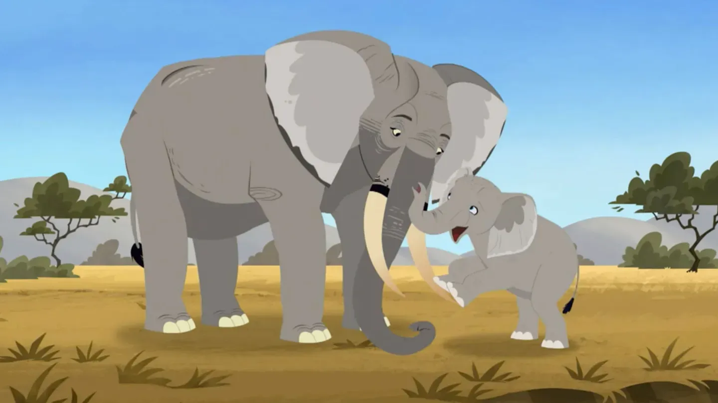 Elephant in the Room
