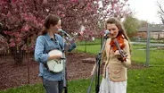 Wish You Were Here With Eliza Blue: Season of Growing