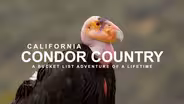 Condor Country