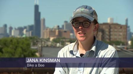 Video thumbnail: Chicago Tonight Business is Buzzing This Summer for a Beekeeper on Wheels