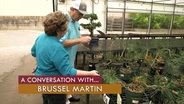 A Conversation with Brussel Martin