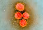 How focus on surface cleaning can distract from virus spread