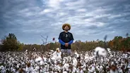 Meet the 'Puff Daddy' of Cotton