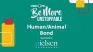 Human/Animal Bond