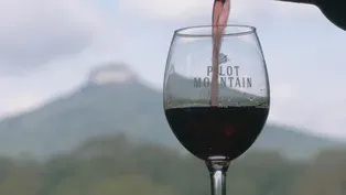 Yadkin Valley Winter Wine and Beer Passport