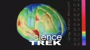The Brain: Mental Health