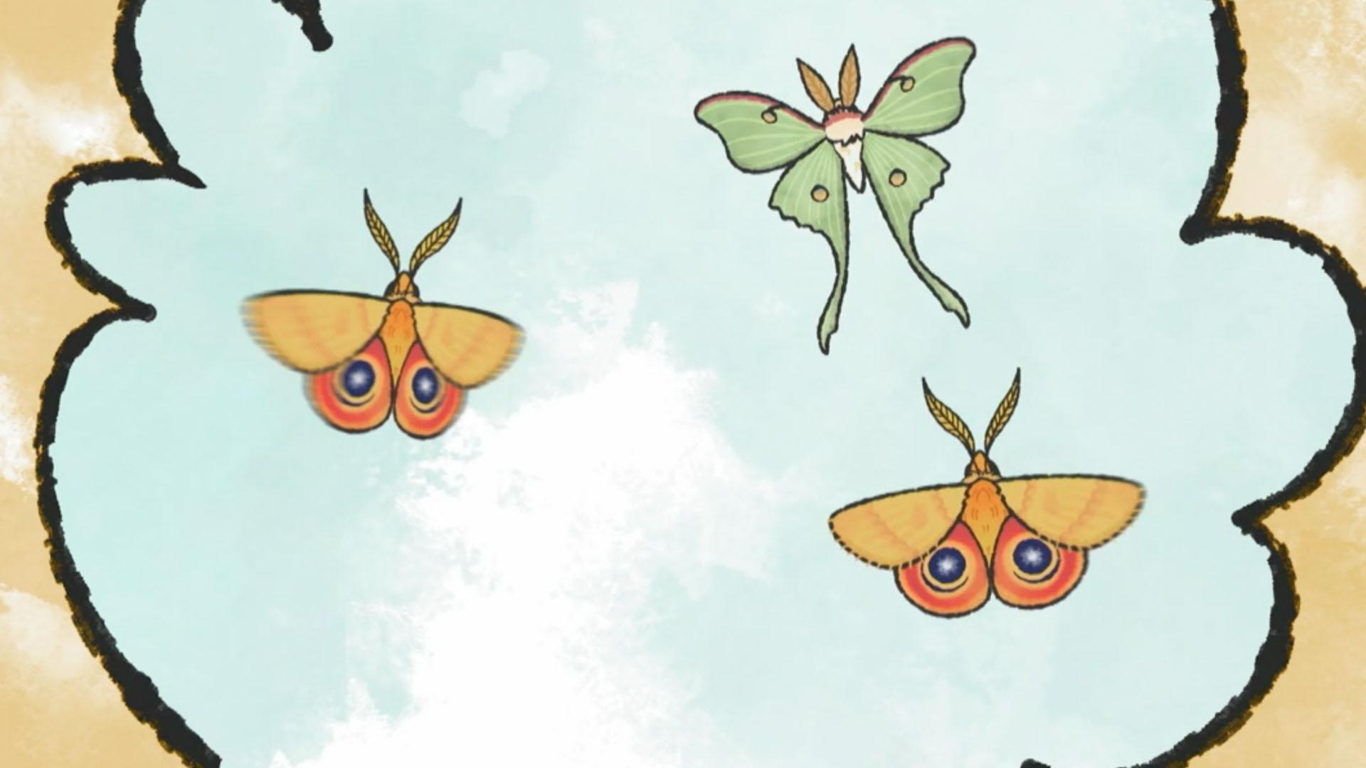That's So Interesting!: Why Do Moths Have Patterns on Their Wings?