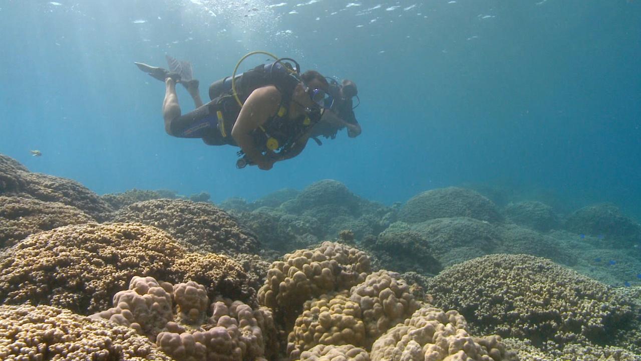 Changing Seas | Reefs of Rangiroa