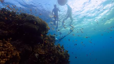 Video thumbnail: Changing Planet Listening In On the Ocean's Orchestra