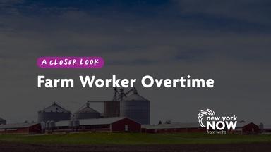 A Closer Look: Farm Worker Overtime