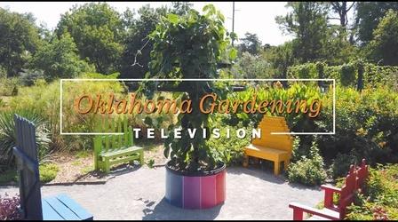 Video thumbnail: Oklahoma Gardening Oklahoma Gardening (October 28, 2022)