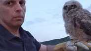 Get to Know a Wildlife Rescuer
