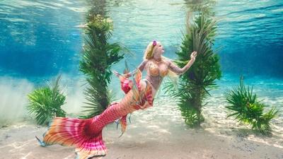 Mermaid Springs