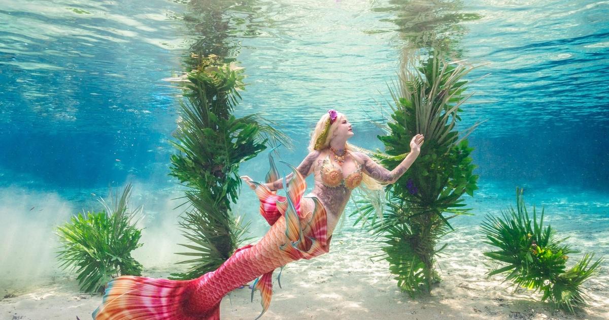 Follow The Blooms | Mermaid Springs | PBS