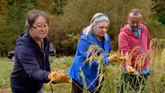 Field Trip to Lee’s One Fortune Farm