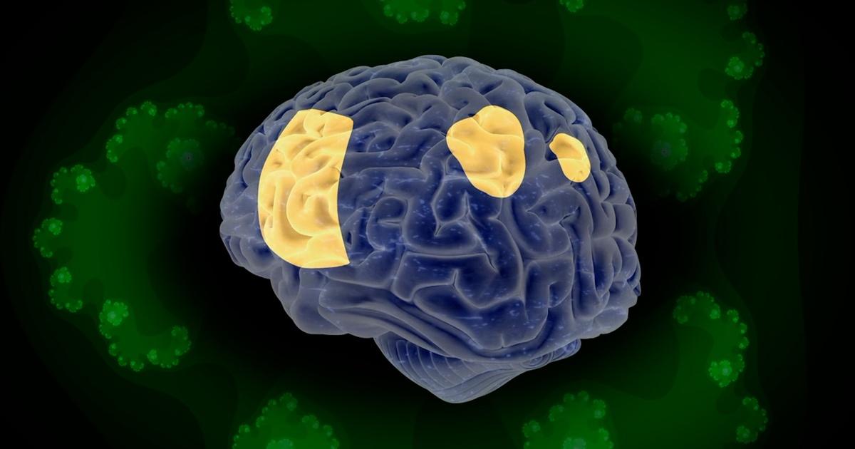 Nova How Psychedelics Change The Brain Season 49 Episode 15 Pbs
