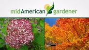 Mid-American Gardener with Sandy Mason February 15, 2018