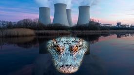 Why Crocodiles Are Thriving in the Shadow of A Nuclear Plant: asset-mezzanine-16x9