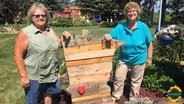 Themed Gardens