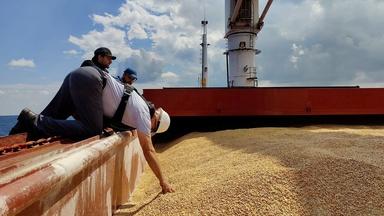 The complex challenge of delivering grain from Ukraine